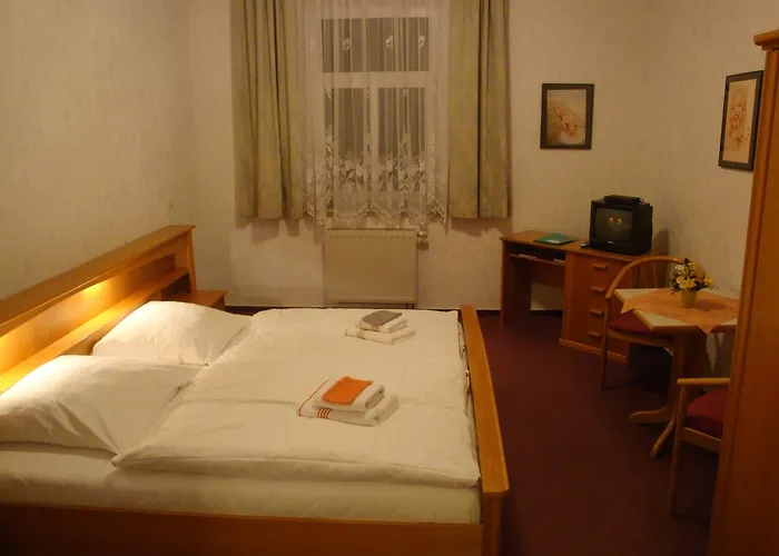 Goldener Loewe Hotel 2*