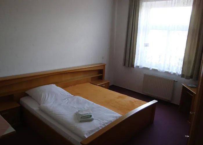 Hotel Goldener Loewe 2*