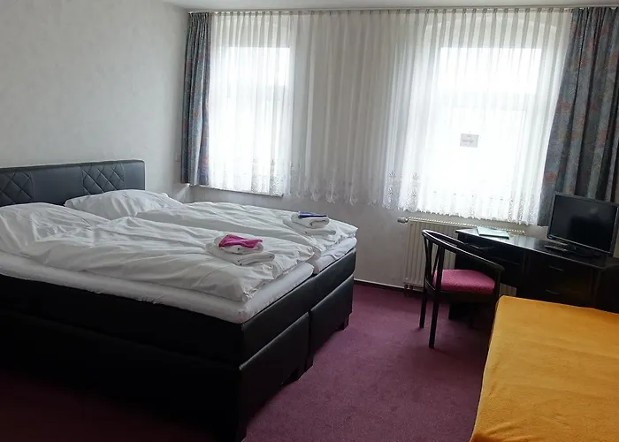 Hotel Goldener Loewe 2*